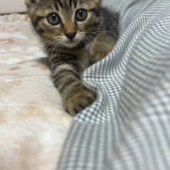 先々週保護しました