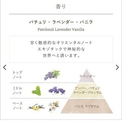未開封新品SABON 600g の画像