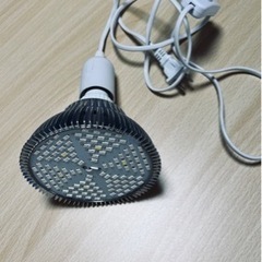 植物用LEDライト　10個　スイッチ付きコード有り　（室内で水耕...