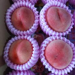 犬山の桃　愛知白桃　12入半箱　税込1500円の画像