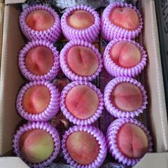 犬山の桃　愛知白桃　12入半箱　税込1500円の画像