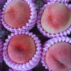 犬山の桃　愛知白桃　12入半箱　税込1500円の画像