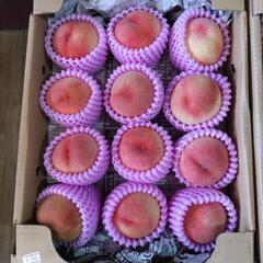 犬山の桃　愛知白桃　12入半箱　税込1500円