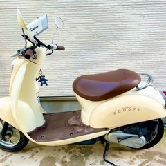 HONDA SCOOPY AF55 ホンダ クレア
スクーピー 原付 バイクの画像