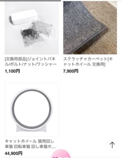 キャットホーイル
