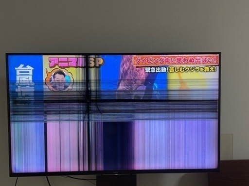 SONY、ブラビア、49インチ