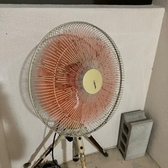 家電 季節、空調家電 扇風機の画像