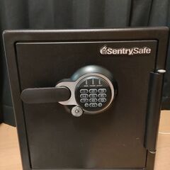セントリーセイフSentrySafe Digital Fire/...