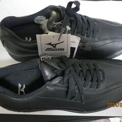 【値下げ致しました】【新品未使用】　ミズノ　ゴアテックス製ウオーキングシューズ　サイズ=24.5㎝EEEE,の画像