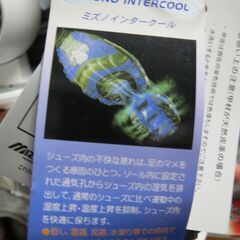 【値下げ致しました】【新品未使用】　ミズノ　ゴアテックス製ウオーキングシューズ　サイズ=24.5㎝EEEE,の画像