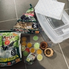 カブトムシ　飼育　セット　虫かご　ゼリーの画像