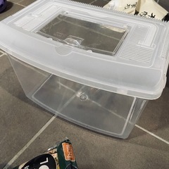 カブトムシ　飼育　セット　虫かご　ゼリーの画像