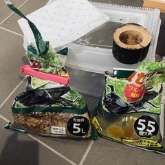 カブトムシ　飼育　セット　虫かご　ゼリーの画像