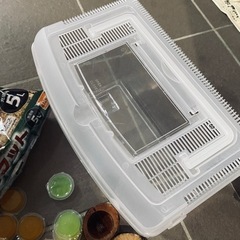 カブトムシ　飼育　セット　虫かご　ゼリーの画像