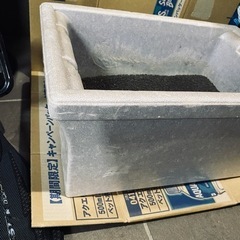 メダカ　飼育　セット　水槽　砂利　子供　知育　動物の画像