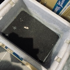 メダカ　飼育　セット　水槽　砂利　子供　知育　動物の画像