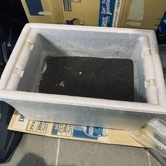 メダカ　飼育　セット　水槽　砂利　子供　知育　動物