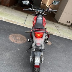 Kawasaki Dトラッカー125 絶好調　大人カスタム　流れるウインカーの画像