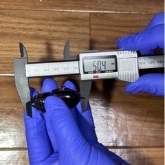 オオクワガタ♀（川西市産）