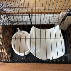 ケージ・その他の画像