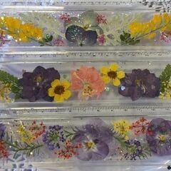 募集♪　2024年８月10日　押し花コースター作り教室　開催致しますの画像