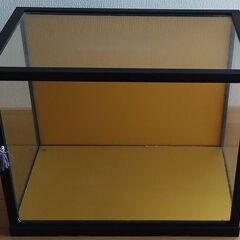 ガラスケース　飾り用