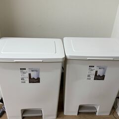 フタ付きゴミ箱 エバンペダルワイド 軽いペダル 45L 白 奥行スリム アスベル A6006の画像
