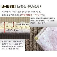 防炎 防音カーペット の画像