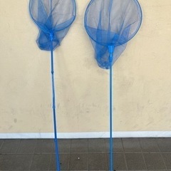 虫取り網