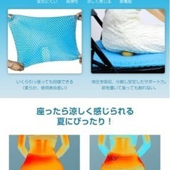 定価12399円　特大ゲルクッションの画像