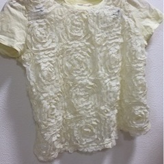 レディース　服　トップス　Tシャツ　フリーサイズ
