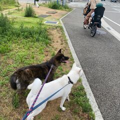 日勤のみ！介護助手・ヘルパー＊利用者さんの介助ではほとんどありません。の画像