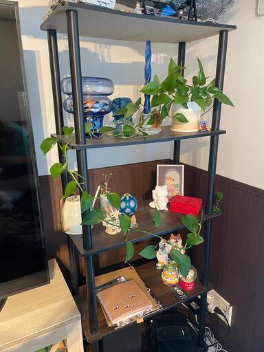 シェルフ