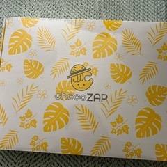 チョコザップ   夏キット