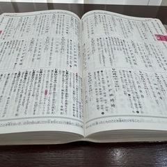 チャレンジ 小学 国語辞典の画像