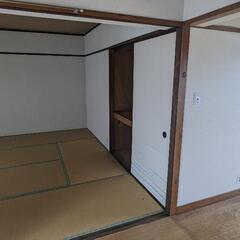 畳　無料でお譲りします