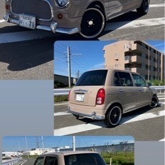 オールペン⭐︎お洒落クラシカルジーノ⭐︎宮城からの画像
