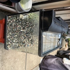 水槽の画像