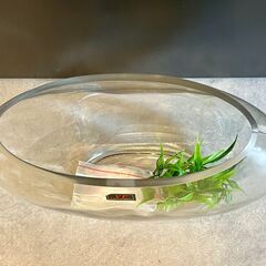 【0円でもらってください】金魚鉢 平面ガラス アクアリウムの画像