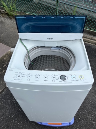 洗濯機  2019年 5.5キロ