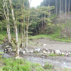 山林キャンプ地
