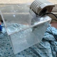 メダカ飼育セット