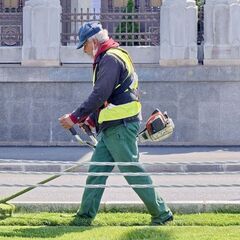 庭の木の伐採や高木の特殊伐採・枝払いをお手伝いさせていただきます - 上北郡
