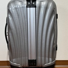 [サムソナイト]コスモライト36L(シルバー)の画像