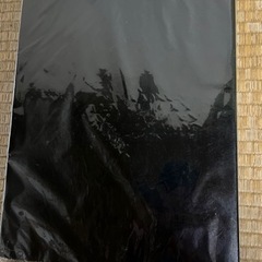 貴重ビートルズ写真集の画像