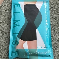 ベルミス 骨格ストレート スリムガードル