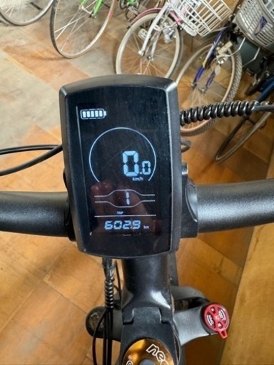 MOVE X 電動自転車　ファットタイヤ　e-bike