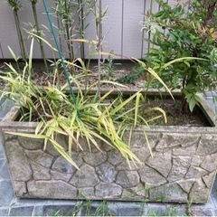 花壇