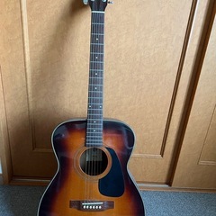 HOTAKA by Morris アコースティックギター  ギター