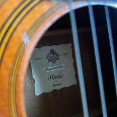 HOTAKA by Morris アコースティックギター  ギターの画像